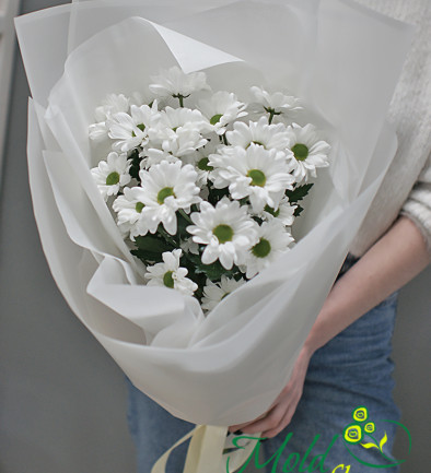 Bouquet of 5 branches of white chrysanthemums photo 394x433